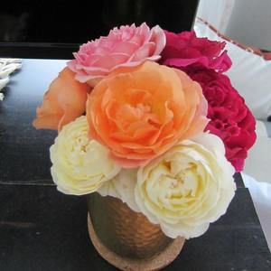 Meet your Posher, Anna